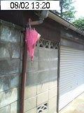 梅雨の忘れ物