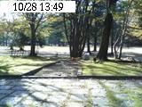 中央公園