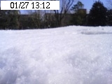 大雪原