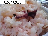 サクライロ