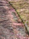 test_pics/sDSC00406.JPG