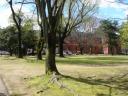 test_pics/sDSC00408.JPG