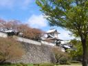 test_pics/sDSC00422.JPG