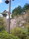 test_pics/sDSC00424.JPG