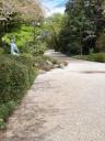 test_pics/sDSC00425.JPG