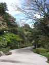 test_pics/sDSC00427.JPG