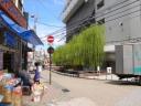 test_pics/sDSC00439.JPG
